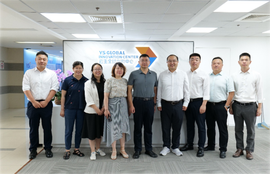 南京市秦淮区委常委、副区长黄琰一行莅临亿佰达全球创新中心调研走访